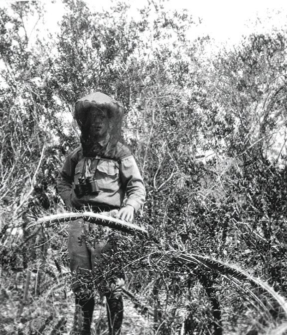 Fritz Nebiker (Barron Collier’s surveyor) in mosquito net head gear, 1925